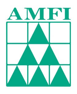 NSE Logo